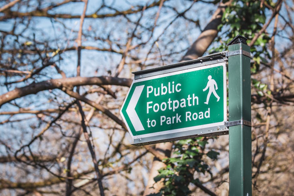 A green directional sign mounted on a metal post points to the left, indicating a public footpath leading to Park Road. The sign displays the text 'Public Footpath to Park Road' alongside a walking figure symbol. Behind the sign, there are leafless tree branches and some green foliage, with sunlight filtering through the branches, suggesting an outdoor setting in early spring or late autumn. This sign is situated along a pedestrian route, potentially part of a house relocation or moving process managed by Man with Van Catford, reflecting the importance of clear signage for efficient navigation during home removals and furniture transport in the Catford area.