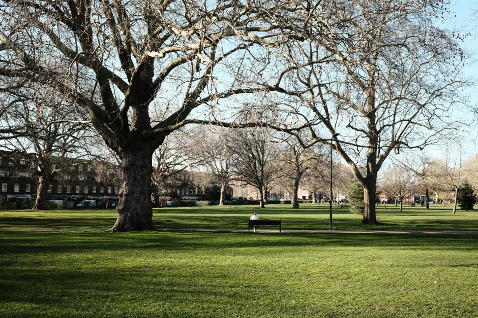 A park scene showing large leafless trees with thick trunks and sprawling branches, set against a clear blue sky. The trees cast long shadows on the well-maintained green grass. Several empty benches are positioned throughout the park, one of which a person is sitting on, facing away from the camera. In the background, there are residential buildings visible behind the trees. The scene is associated with outdoor space and environment, but in the context of house removals and relocation services, it also highlights the importance of planning outdoor logistics during a move. Man with Van Catford may occasionally utilize such locations for loading or unloading furniture and boxes, ensuring a smooth home relocation process while protecting packed items with blankets and placing them on trolleys or within the van for transport.